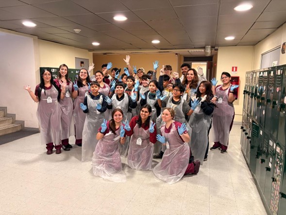 Universidad Santo Tomás acercó la ciencia a la infancia con dos experiencias interactivas en el marco de MOLA – CuriosasMentes 2025