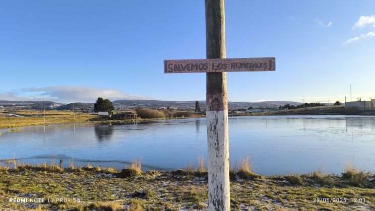 Santo Tomás desarrolla prototipo de estación móvil para el monitorio ambiental