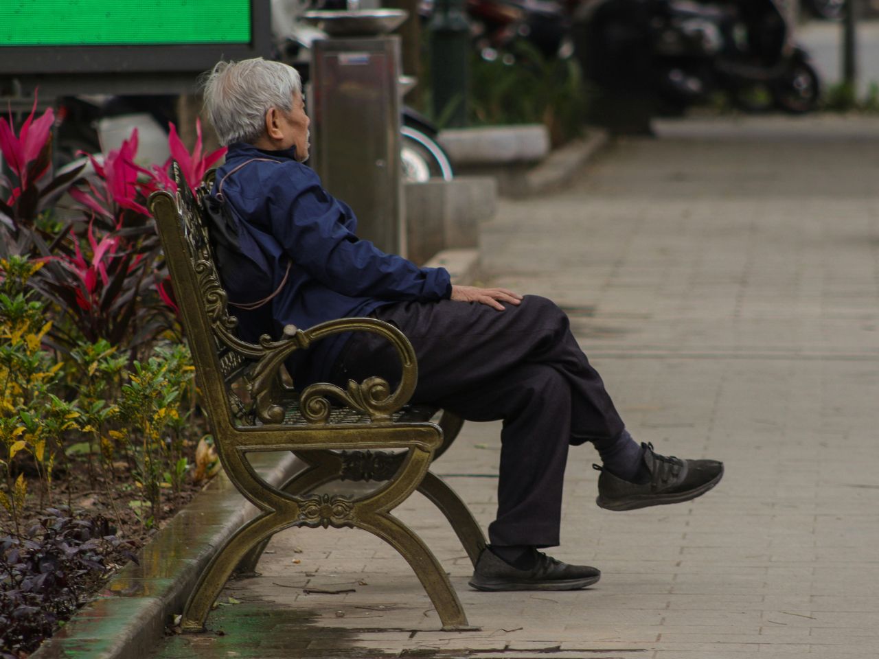 La soledad no deseada en personas mayores: experto UST advierte una “amenaza invisible” que crece en Chile