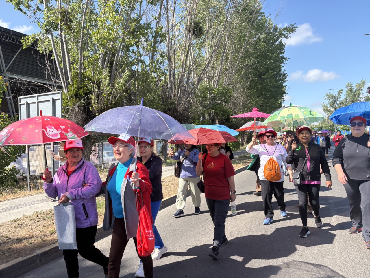 Talca se llenó de color con la multitudinaria caminata de paraguas para Personas Mayores
