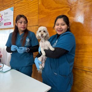 Operativo veterinario IP-CFT Santo Tomás Osorno