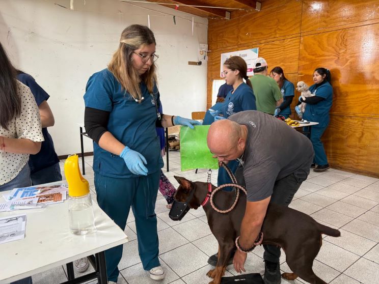 Santo Tomás Osorno realiza operativo veterinario en Quinto Centenario
