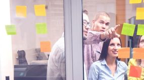 Proyectos Colaborativos